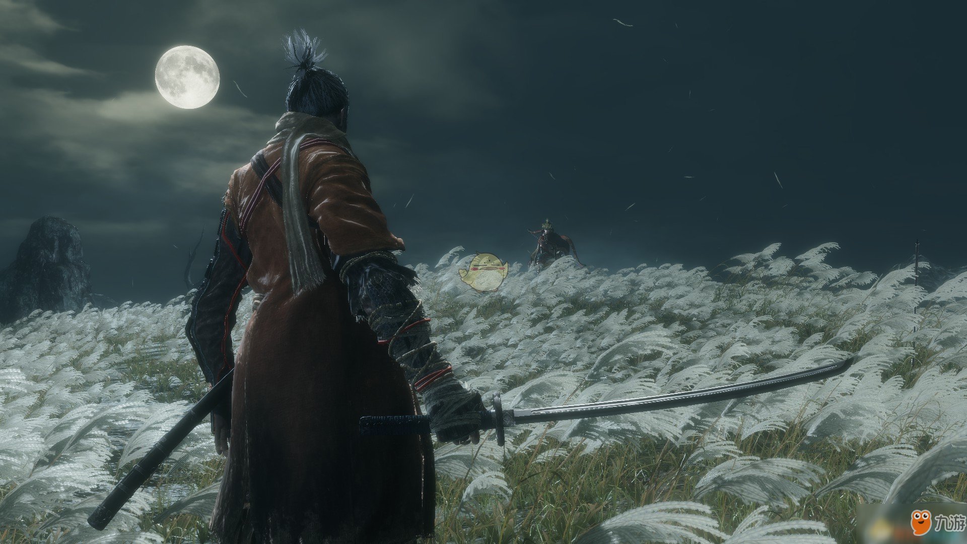 塞尔达传说：旷野之息 年度版 截图9