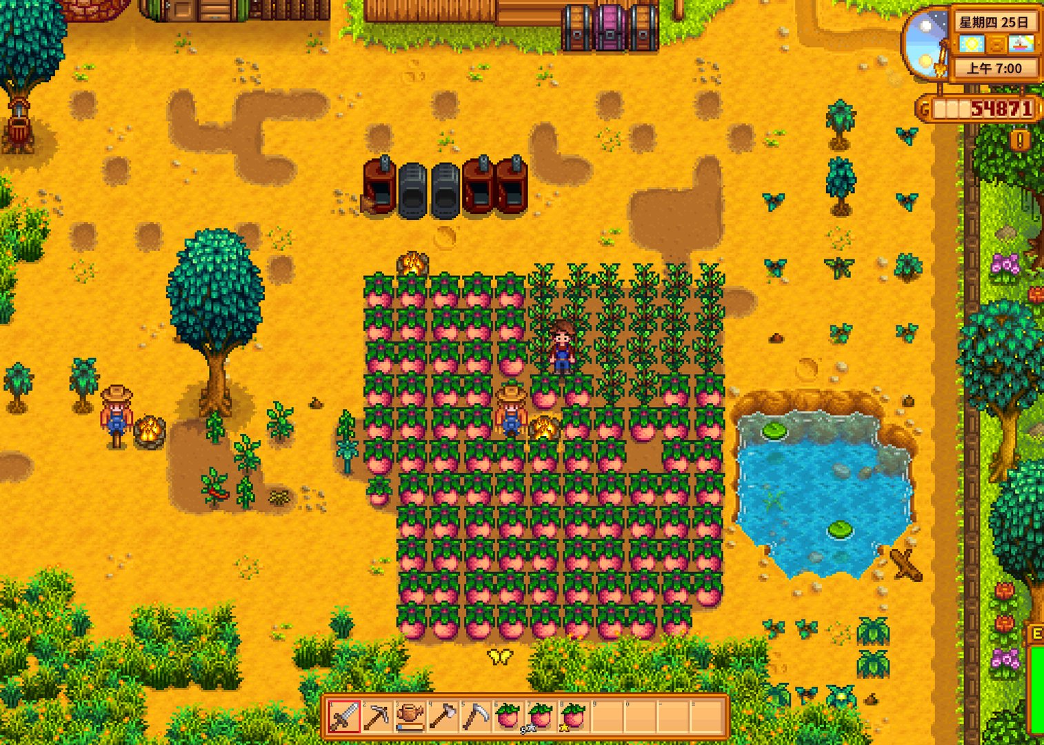 艾尔登法环 终极版 截图10